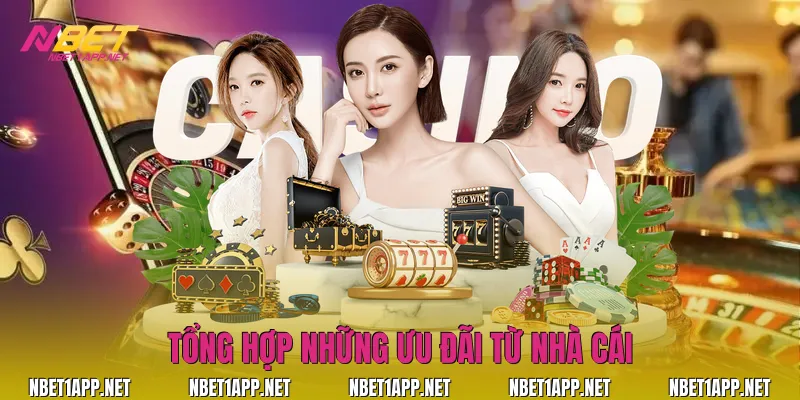 Tổng hợp những ưu đãi từ nhà cái