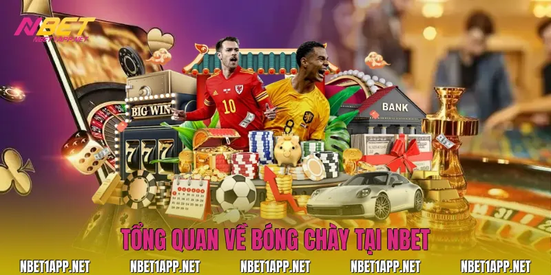 Tổng quan về bóng chày tại Nbet